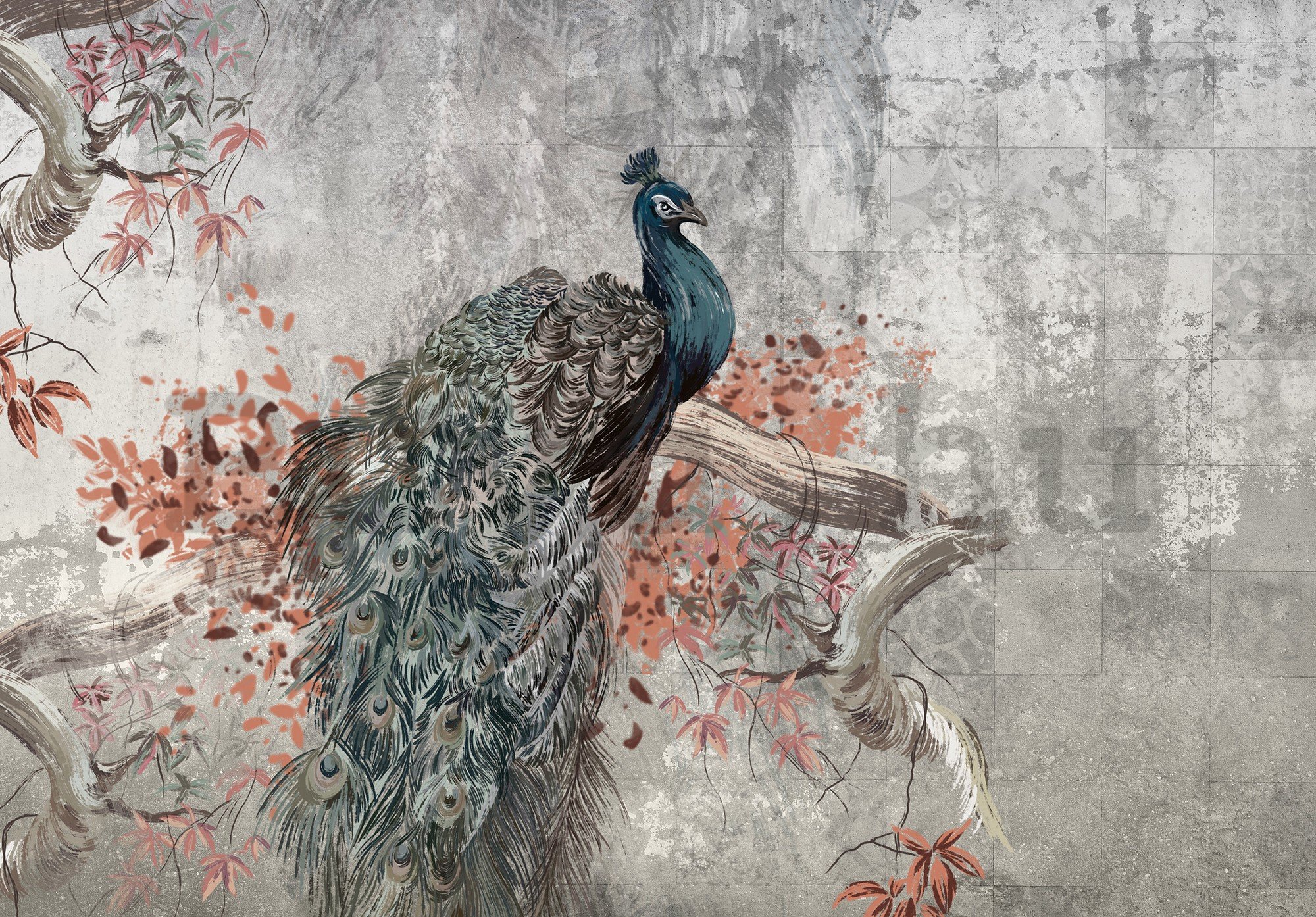 Vlies fotótapéta: Peacock - 254x184 cm