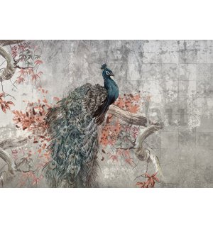 Vlies fotótapéta: Peacock - 254x184 cm