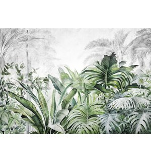 Vlies fotótapéta: Nature Leaves Exotic Jungle (1) - 254x184 cm