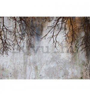 Vlies fotótapéta: Imitation concrete trees modern - 368x254 cm