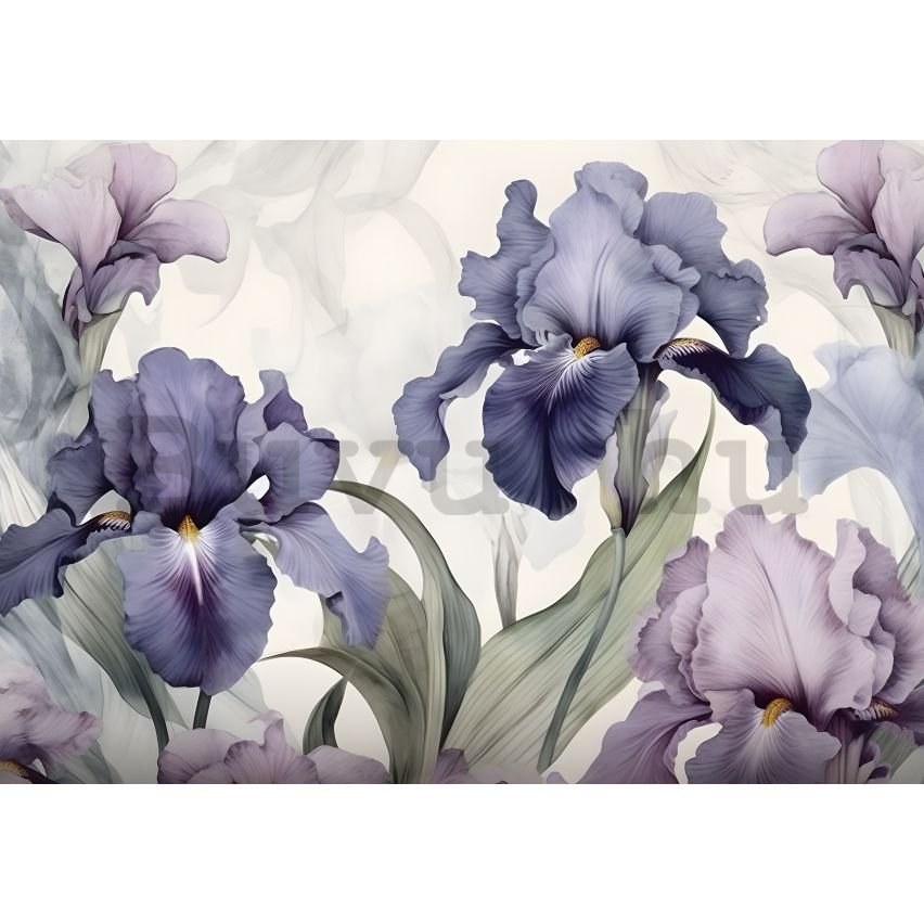 Vlies fotótapéta: Nature Flowers Modern Romantic Iris - 368x254 cm
