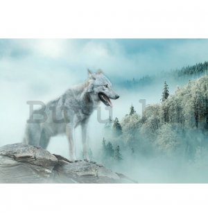 Vlies fotótapéta: Nature forest wolf snow - 152,5x104 cm