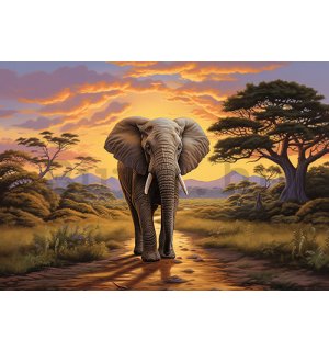 Vlies fotótapéta: Animals Elephant Safari - 152,5x104 cm