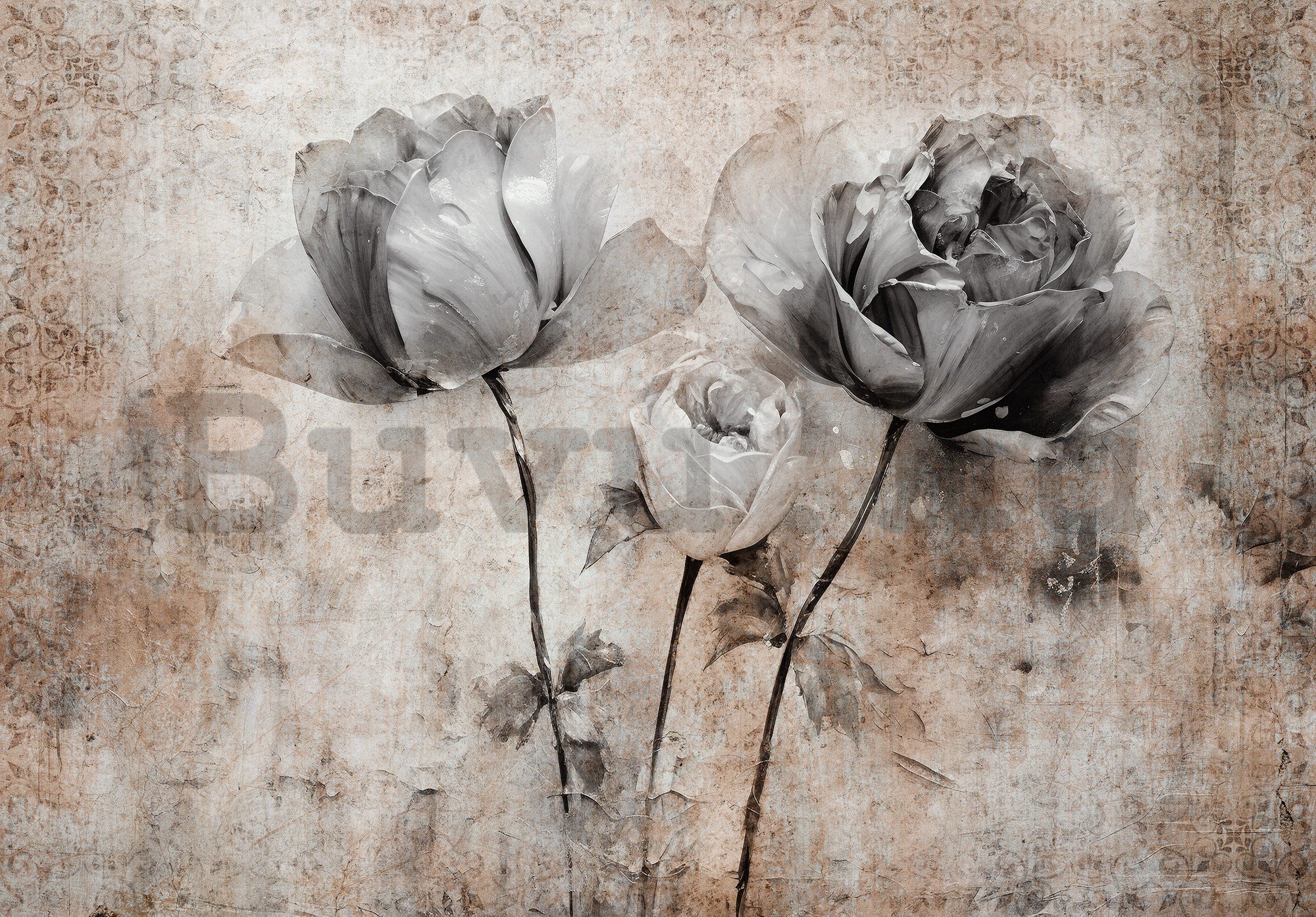 Vlies fotótapéta: Flowers Roses Structure (1) - 104x70,5 cm
