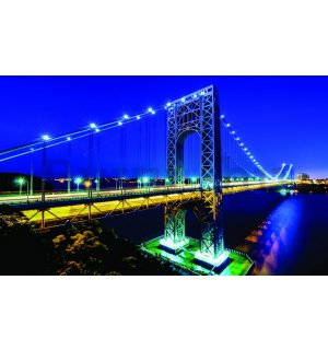 Fotótapéta: Manhattan Bridge - 254x368 cm