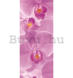 Öntapadós fotótapéta: Orchidea - 211x91 cm