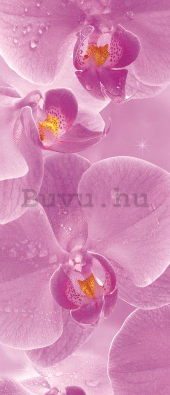 Fotótapéta: Orchidea (1) - 211x91 cm