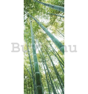 Öntapadós fotótapéta: Bambuszerdő - 211x91 cm
