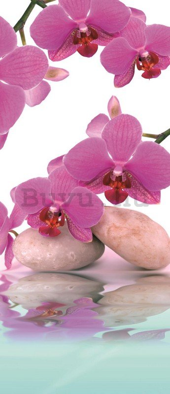 Fotótapéta: Orchidea és kövek - 211x91 cm