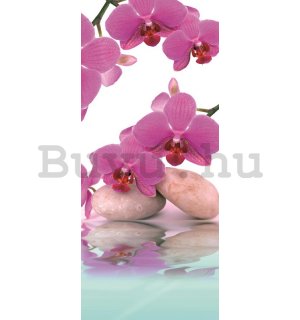 Fotótapéta: Orchidea és kövek - 211x91 cm