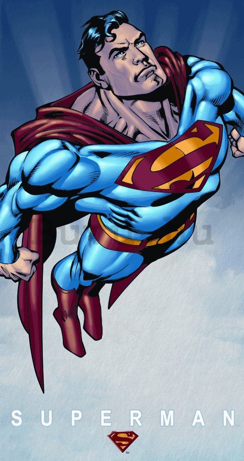 Fémplakát: Superman - 40x22 cm
