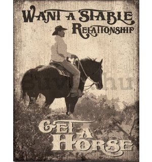 Fémplakát - Stable Relationship