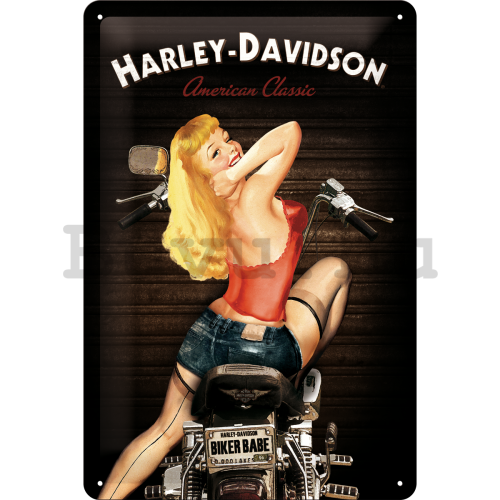 Fémtáblák - Harley-Davidson (Biker Babe)