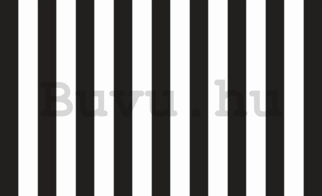 Fotótapéta: Fekete-fehér csíkok - 184x254 cm
