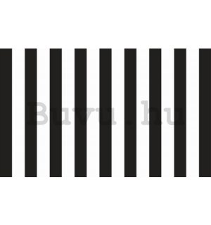 Fotótapéta: Fekete-fehér csíkok - 184x254 cm