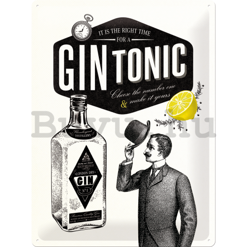 Fémplakát: Gin Tonic - 30x40 cm