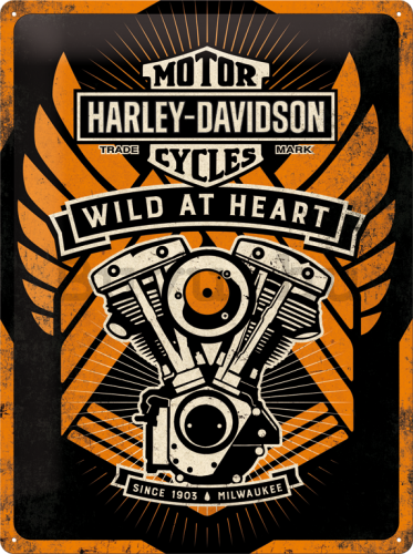 Fémplakát - Harley-Davidson (Wild at Heart)