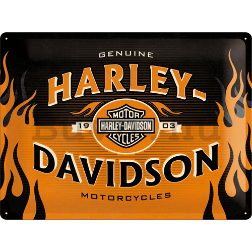Fémplakát - Harley-Davidson (Flames)