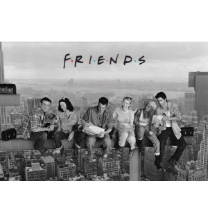 Plakát - Friends (Skyscraper)