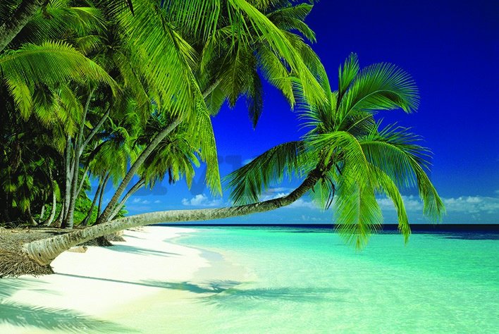 Plakát - Maldives Beach