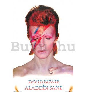 Plakát - David Bowie (Alladin Sane)
