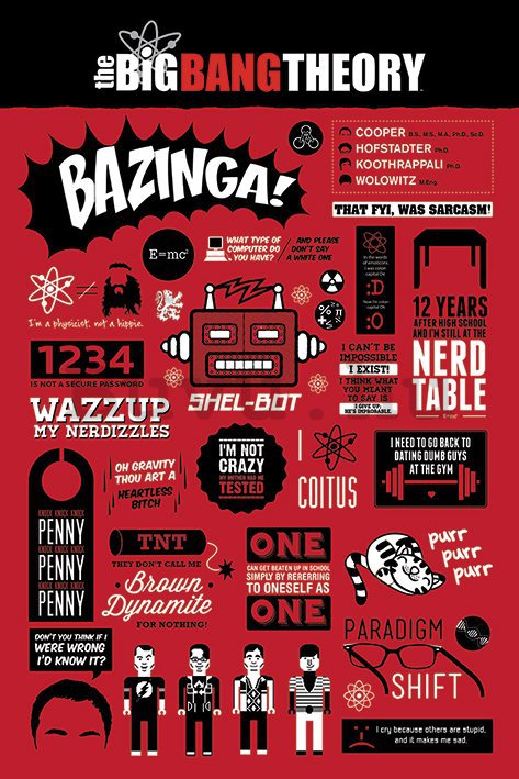Plakát - The Big Bang Theory (infographics)