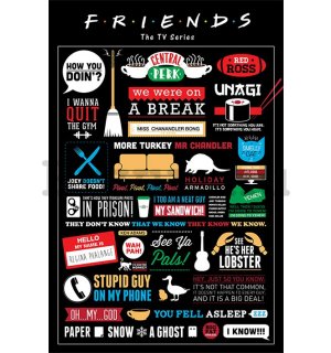 Plakát - Friends (Infografika)