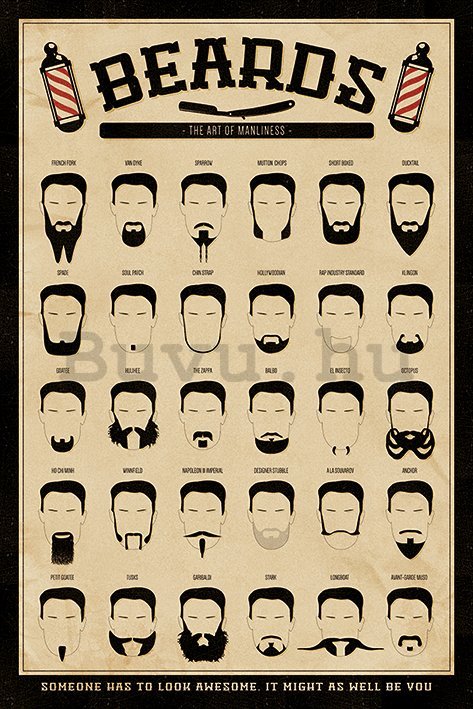 Plakát - Beards (The Art of Manliness)