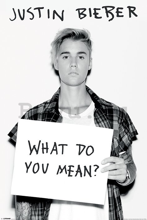 Plakát - Justin Bieber (What Do You Mean?)