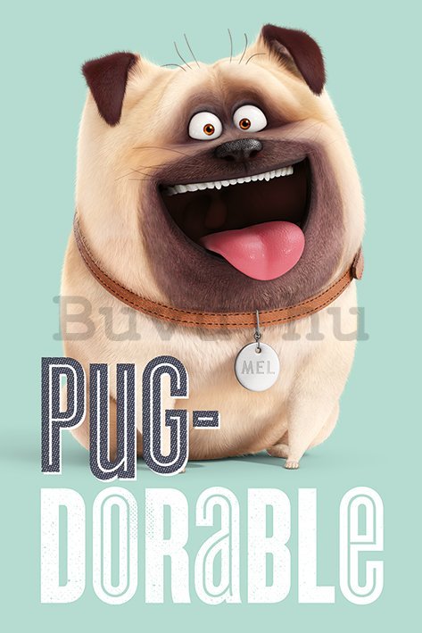 Plakát - A háziállatok titkos élete (Pug-Dorable)