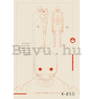 Plakát - Star Wars Rogue One (K-2S0 Blueprints)