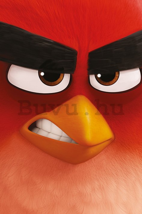 Plakát - Angry Birds (1)
