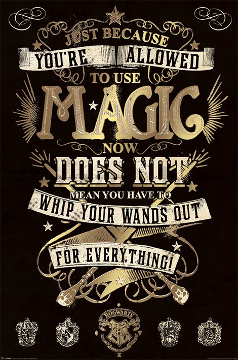 Plakát - Harry Potter (Magic)