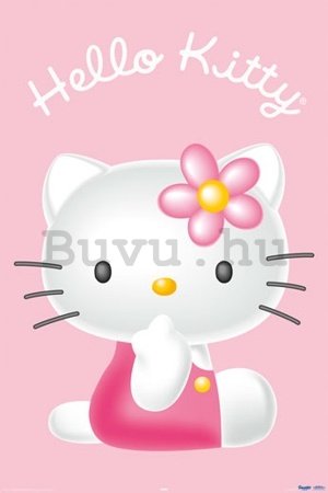 Plakát - Hello Kitty 3d
