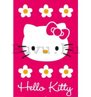 Plakát - Hello Kitty magenta