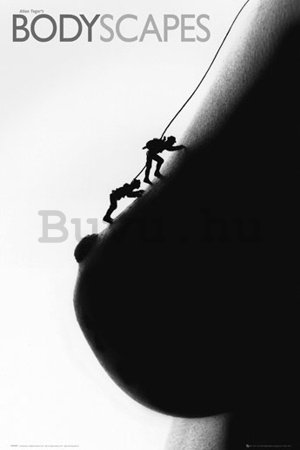 Plakát - Bodyscape climbers