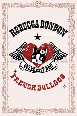 Plakát - French bulldog