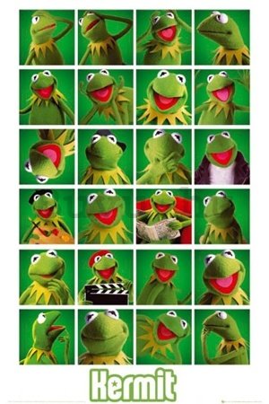 Plakát - The Muppets kermit collage