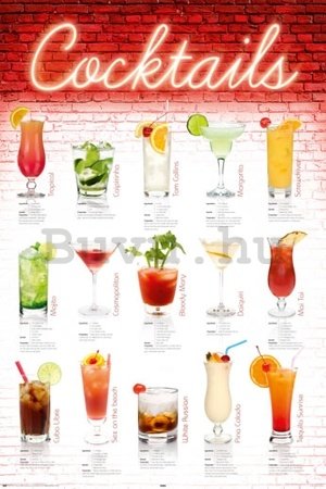 Plakát - Cocktails english
