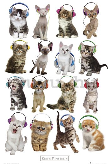 Plakát - Fejhallgató macskák, Keith Kimberlin